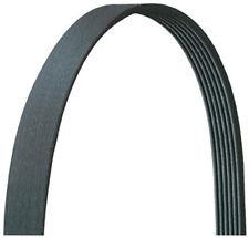 VIFTEREIM 21X975MM - DAYCO 6PK975