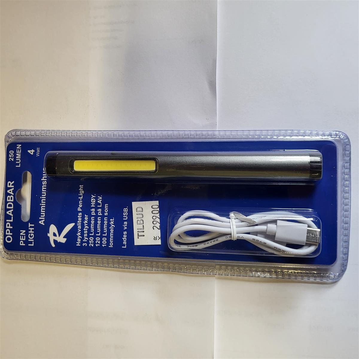PENLYKT / LOMMELYKT OPPLADBAR 100-250LM M/MAGNET - Bilde 1