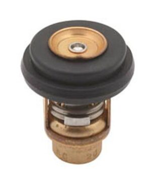 TERMOSTAT 60° 10-30HK EFI 8M0119207