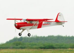 v02_2B4773FC004F42664F7F09CA4C5169B9-1.jpg BLACK HORSE TAYLORCRAFT 22CC ARF