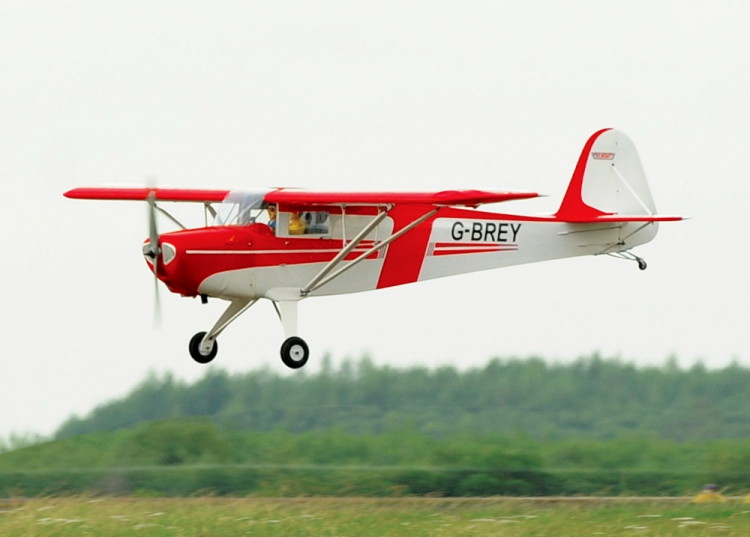 BLACK HORSE TAYLORCRAFT 22CC ARF