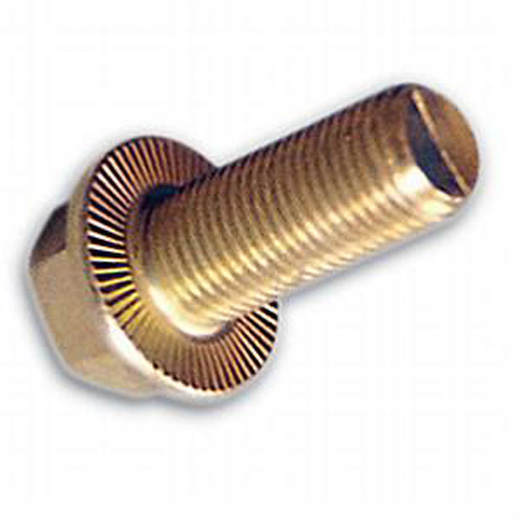 SKIVEHODESKRUE (TENSILOCK) 8X16  8.8 gcR
