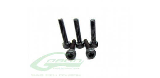 SOCKET HEAD CAP SCREW M 2,5 X 10mm