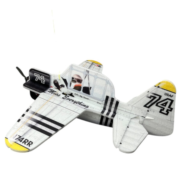 TEXAN CARTOON W.B. RC FACTORY - Bilde 6