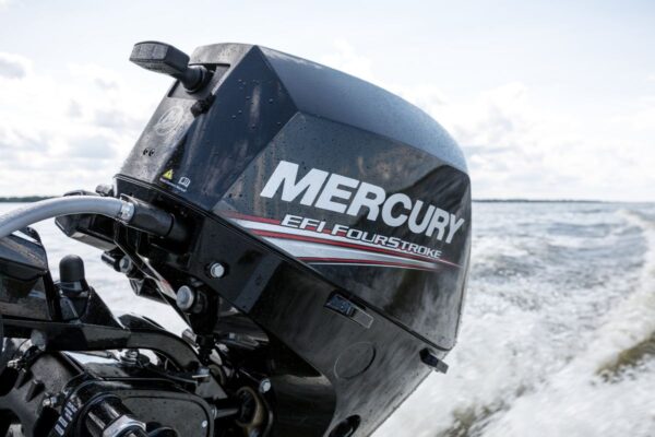 MERCURY F20ELPT 20HK LANG STAMME 1F21412LL - Bilde 3