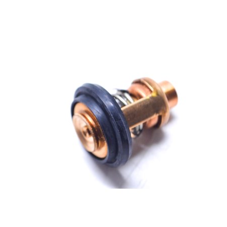 TERMOSTAT MERCURY 30HK 2-TAKT