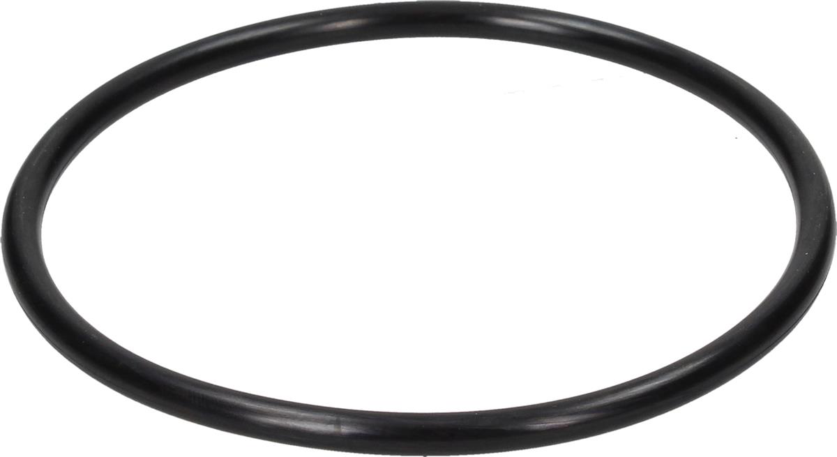 PAKNING 65X2,5MM  KÄRCHER - Bilde 1
