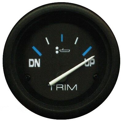 TRIM METER MERCURY