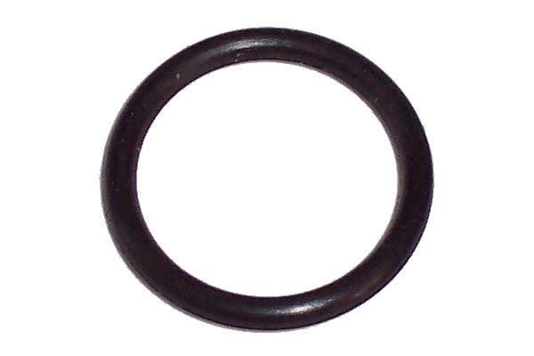 O-RING KÄRCHER