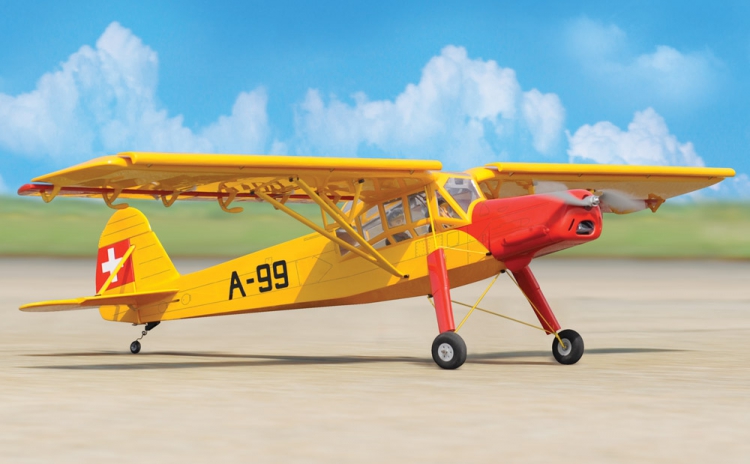 BLACK HORSE FIESLER FI156C STORCH ARF