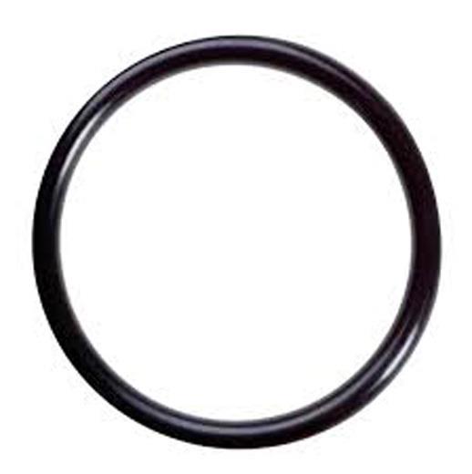 SCI-O-RING 21,95X1,78 KÄRCHER