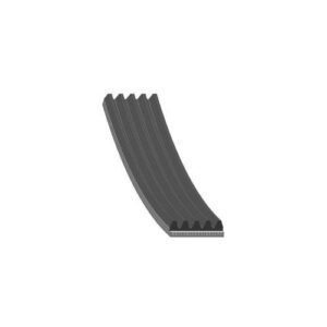 v02_B01D59AFA4F10BCAA1EDFEE44FA0552F.jpg VIFTEREIM 18X1300MM - DAYCO 5PK1300