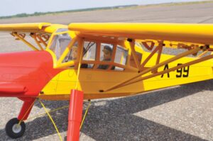 v02_C488CF16DEE75D83A2153578448C1D99.jpg BLACK HORSE FIESLER FI156C STORCH ARF