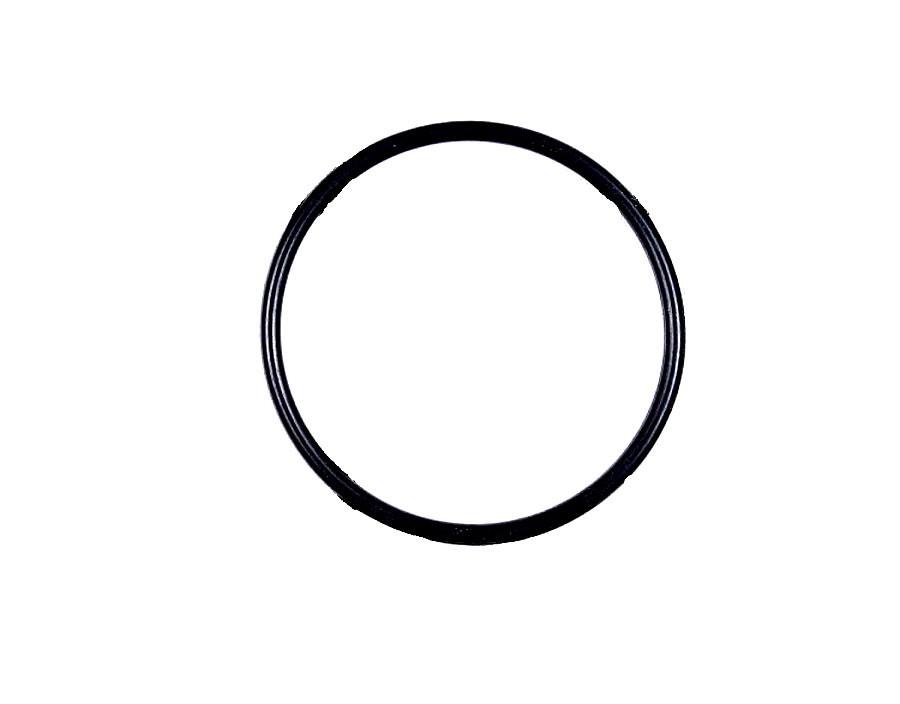 O-RING KÄRCHER