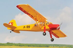 v02_D43B0F30226DDB1A4350A5321902C4E6.jpg BLACK HORSE FIESLER FI156C STORCH ARF