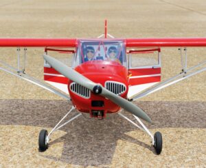v02_F9488346EF2114C45DC62665C071572E.jpg BLACK HORSE TAYLORCRAFT 22CC ARF